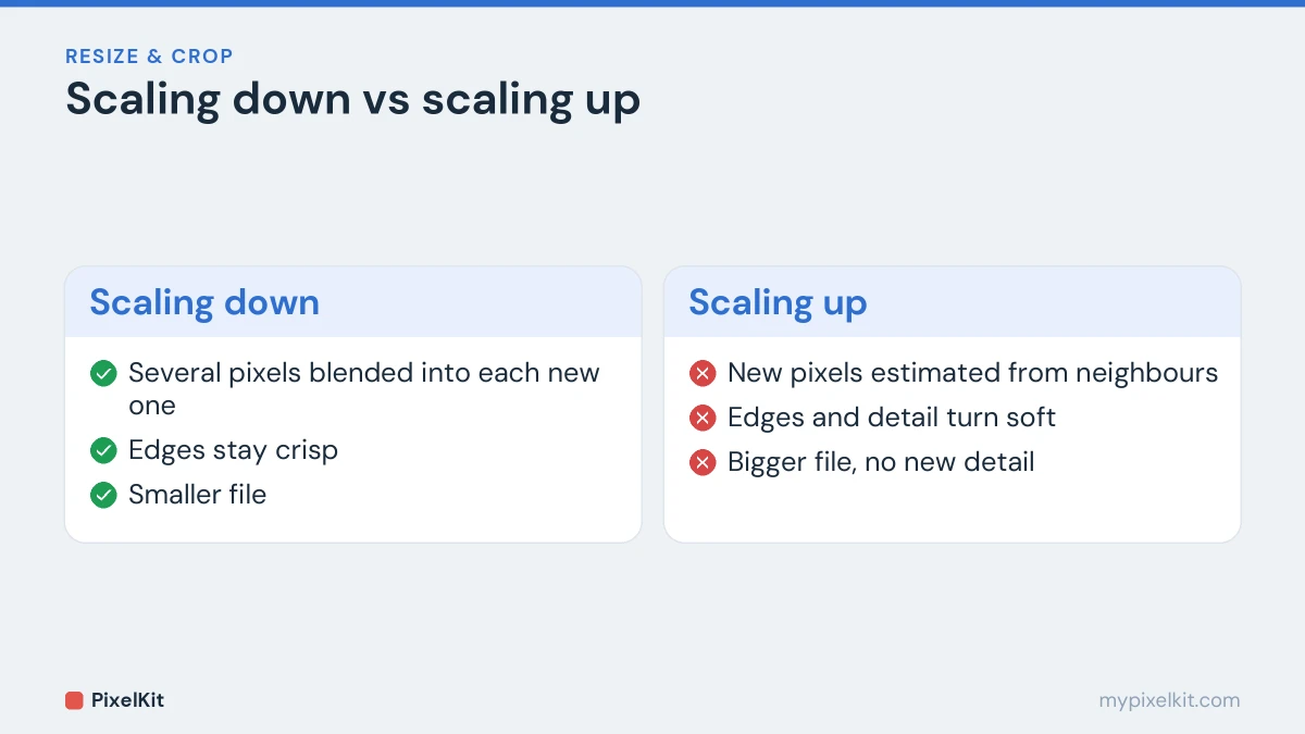 Comparison of scaling an image down, which stays sharp, and scaling it up, which turns soft